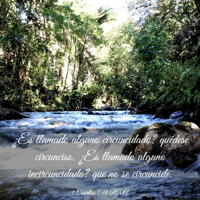 Picture 03 - 1 Corintios 7:18 RVA - ¿Es llamado alguno circuncidado? quédese - Bible Verse Picture