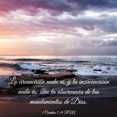 Picture 03 - 1 Corintios 7:19 RVA - La circuncisión nada es, y la incircuncisión - Bible Verse Picture