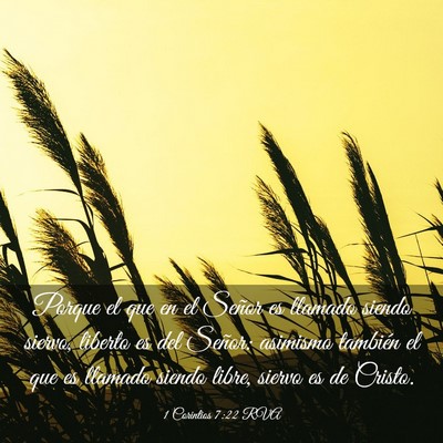 Picture 03 - 1 Corintios 7:22 RVA - Porque el que en el Señor es llamado siendo - Bible Verse Picture