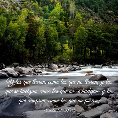 Picture 03 - 1 Corintios 7:30 RVA - Y los que lloran, como los que no lloran; y los - Bible Verse Picture
