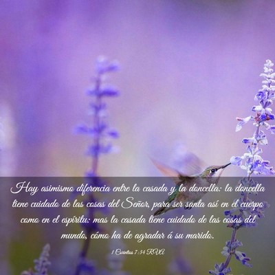 Picture 03 - 1 Corintios 7:34 RVA - Hay asimismo diferencia entre la casada y la - Bible Verse Picture
