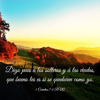 Picture 03 - 1 Corintios 7:8 RVA - Digo pues á los solteros y á las viudas, que - Bible Verse Picture