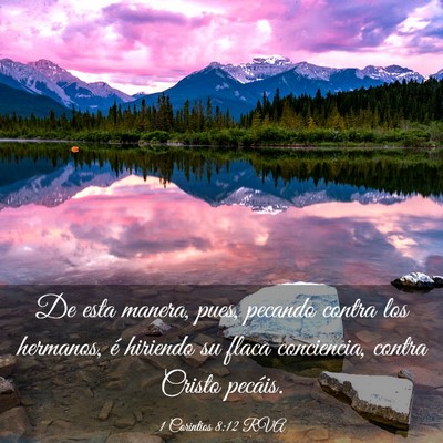 Picture 03 - 1 Corintios 8:12 RVA - De esta manera, pues, pecando contra los - Bible Verse Picture
