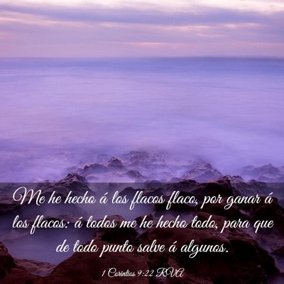 Picture 03 - 1 Corintios 9:22 RVA - Me he hecho á los flacos flaco, por ganar á los - Bible Verse Picture