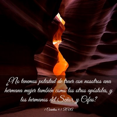 Picture 03 - 1 Corintios 9:5 RVA - ¿No tenemos potestad de traer con nosotros una - Bible Verse Picture