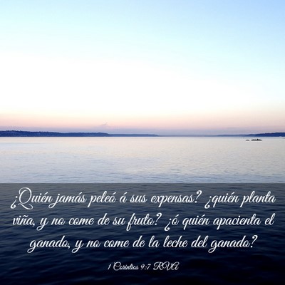 Picture 03 - 1 Corintios 9:7 RVA - ¿Quién jamás peleó á sus expensas? ¿quién - Bible Verse Picture