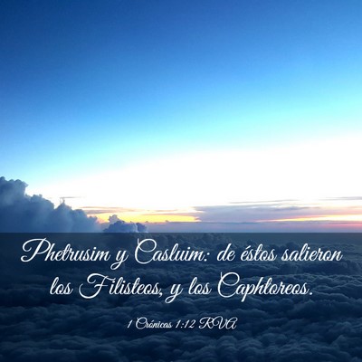 Picture 03 - 1 Crónicas 1:12 RVA - Phetrusim y Casluim: de éstos salieron los - Bible Verse Picture