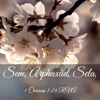 Picture 03 - 1 Crónicas 1:24 RVA - Sem, Arphaxad, - Bible Verse Picture