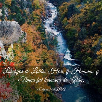 Picture 03 - 1 Crónicas 1:39 RVA - Los hijos de Lotán: Hori, y Homam: y Timna fué - Bible Verse Picture