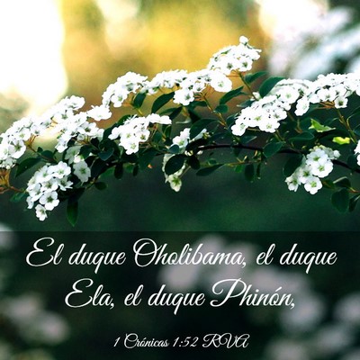 Picture 03 - 1 Crónicas 1:52 RVA - El duque Oholibama, el duque Ela, el duque - Bible Verse Picture