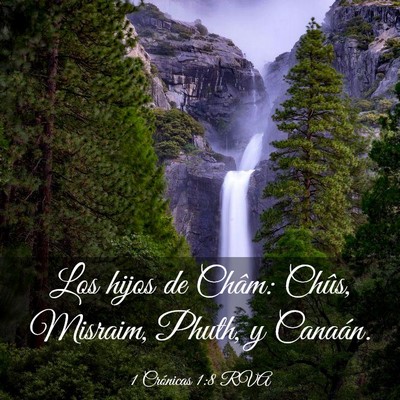 Picture 03 - 1 Crónicas 1:8 RVA - Los hijos de Châm: Chûs, Misraim, Phuth, y - Bible Verse Picture