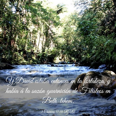Picture 03 - 1 Crónicas 11:16 RVA - Y David estaba entonces en la fortaleza, y había - Bible Verse Picture