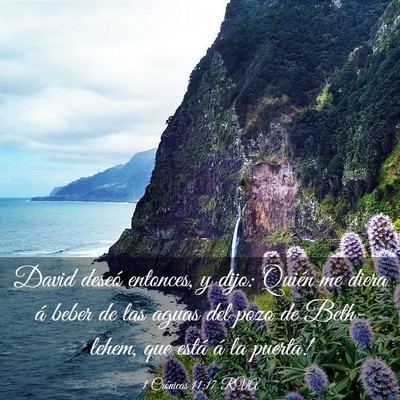 Picture 03 - 1 Crónicas 11:17 RVA - David deseó entonces, y dijo: ­Quién me diera - Bible Verse Picture
