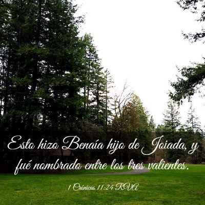Picture 03 - 1 Crónicas 11:24 RVA - Esto hizo Benaía hijo de Joiada, y fué nombrado - Bible Verse Picture