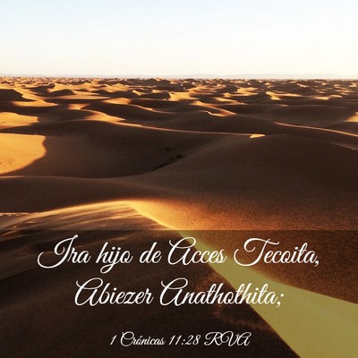 Picture 03 - 1 Crónicas 11:28 RVA - Ira hijo de Acces Tecoita, Abiezer - Bible Verse Picture