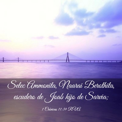 Picture 03 - 1 Crónicas 11:39 RVA - Selec Ammonita, Naarai Berothita, escudero de - Bible Verse Picture
