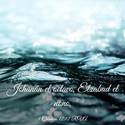 Picture 03 - 1 Crónicas 12:12 RVA - Johanán el octavo, Elzabad el - Bible Verse Picture