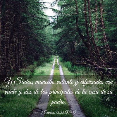 Picture 03 - 1 Crónicas 12:28 RVA - Y Sadoc, mancebo valiente y esforzado, con veinte - Bible Verse Picture