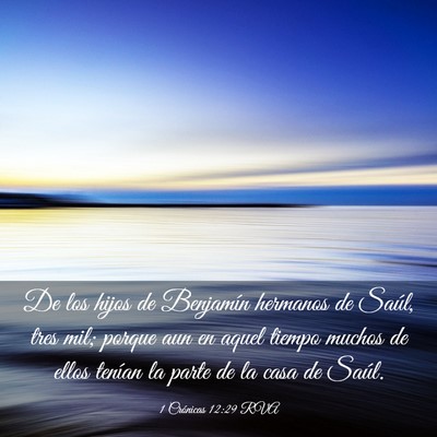 Picture 03 - 1 Crónicas 12:29 RVA - De los hijos de Benjamín hermanos de Saúl, tres - Bible Verse Picture