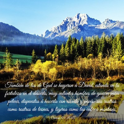 Picture 03 - 1 Crónicas 12:8 RVA - También de los de Gad se huyeron á David, - Bible Verse Picture