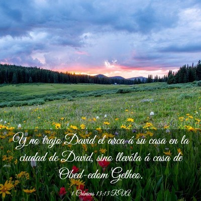 Picture 03 - 1 Crónicas 13:13 RVA - Y no trajo David el arca á su casa en la ciudad - Bible Verse Picture