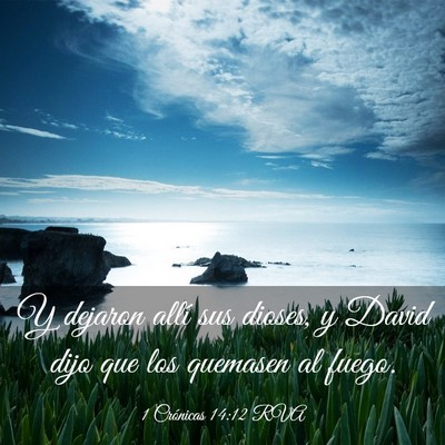 Picture 03 - 1 Crónicas 14:12 RVA - Y dejaron allí sus dioses, y David dijo que los - Bible Verse Picture