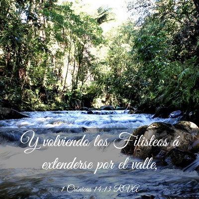 Picture 03 - 1 Crónicas 14:13 RVA - Y volviendo los Filisteos á extenderse por el - Bible Verse Picture
