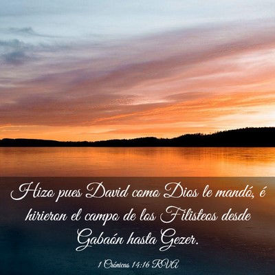 Picture 03 - 1 Crónicas 14:16 RVA - Hizo pues David como Dios le mandó, é hirieron - Bible Verse Picture