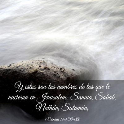 Picture 03 - 1 Crónicas 14:4 RVA - Y estos son los nombres de los que le nacieron en - Bible Verse Picture