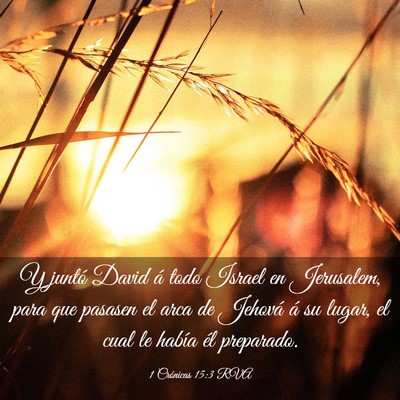 Picture 03 - 1 Crónicas 15:3 RVA - Y juntó David á todo Israel en Jerusalem, para - Bible Verse Picture