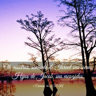 Picture 03 - 1 Crónicas 16:13 RVA - Oh vosotros, simiente de Israel sus siervo, Hijos - Bible Verse Picture