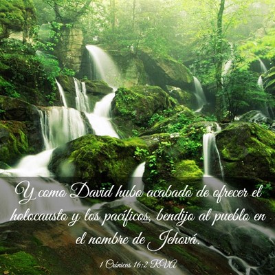 Picture 03 - 1 Crónicas 16:2 RVA - Y como David hubo acabado de ofrecer el - Bible Verse Picture