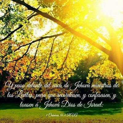 Picture 03 - 1 Crónicas 16:4 RVA - Y puso delante del arca de Jehová ministros de - Bible Verse Picture