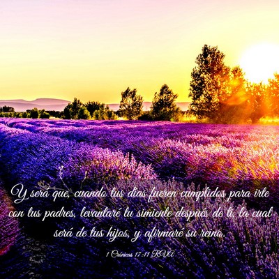 Picture 03 - 1 Crónicas 17:11 RVA - Y será que, cuando tus días fueren cumplidos - Bible Verse Picture