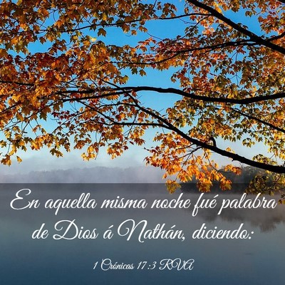Picture 03 - 1 Crónicas 17:3 RVA - En aquella misma noche fué palabra de Dios á - Bible Verse Picture
