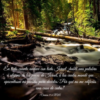 Picture 03 - 1 Crónicas 17:6 RVA - En todo cuanto anduve con todo Israel ¿hablé - Bible Verse Picture