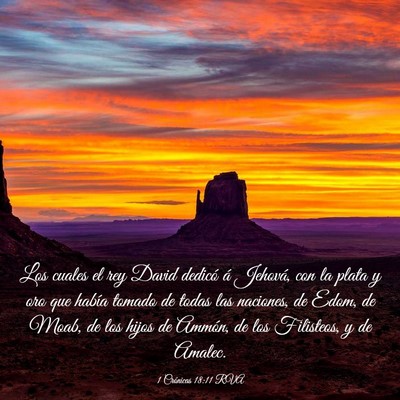 Picture 03 - 1 Crónicas 18:11 RVA - Los cuales el rey David dedicó á Jehová, con - Bible Verse Picture