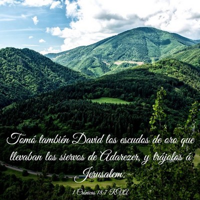 Picture 03 - 1 Crónicas 18:7 RVA - Tomó también David los escudos de oro que - Bible Verse Picture