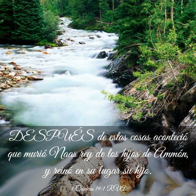 Picture 03 - 1 Crónicas 19:1 RVA - DESPUÉS de estas cosas aconteció que murió - Bible Verse Picture