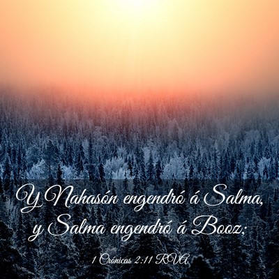 Picture 03 - 1 Crónicas 2:11 RVA - Y Nahasón engendró á Salma, y Salma engendró - Bible Verse Picture