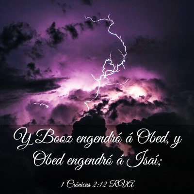 Picture 03 - 1 Crónicas 2:12 RVA - Y Booz engendró á Obed, y Obed engendró á - Bible Verse Picture