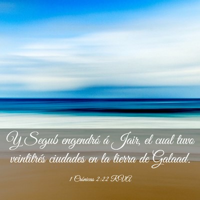 Picture 03 - 1 Crónicas 2:22 RVA - Y Segub engendró á Jair, el cual tuvo - Bible Verse Picture