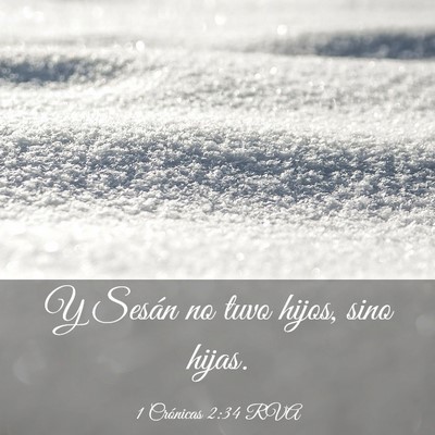 Picture 03 - 1 Crónicas 2:34 RVA - Y Sesán no tuvo hijos, sino - Bible Verse Picture