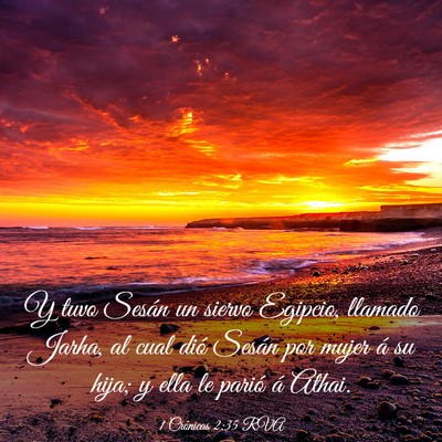 Picture 03 - 1 Crónicas 2:35 RVA - Y tuvo Sesán un siervo Egipcio, llamado Jarha, - Bible Verse Picture