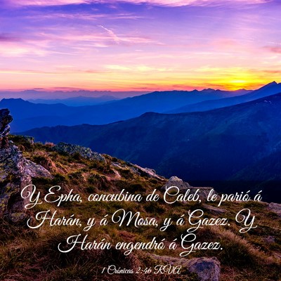 Picture 03 - 1 Crónicas 2:46 RVA - Y Epha, concubina de Caleb, le parió á Harán, - Bible Verse Picture