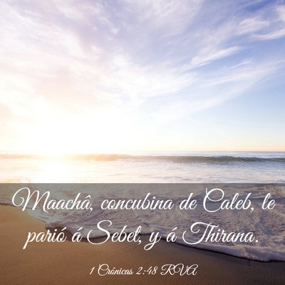 Picture 03 - 1 Crónicas 2:48 RVA - Maachâ, concubina de Caleb, le parió á Sebet, - Bible Verse Picture