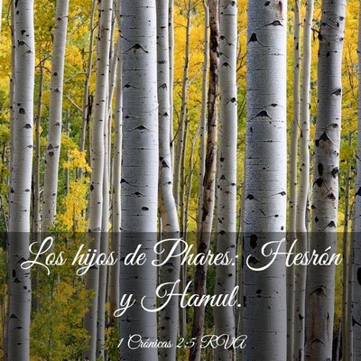 Picture 03 - 1 Crónicas 2:5 RVA - Los hijos de Phares: Hesrón y - Bible Verse Picture