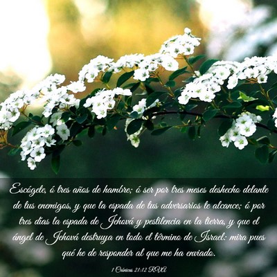 Picture 03 - 1 Crónicas 21:12 RVA - Escógete, ó tres años de hambre; ó ser por - Bible Verse Picture