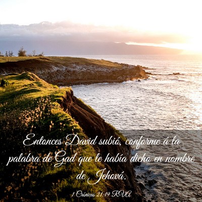 Picture 03 - 1 Crónicas 21:19 RVA - Entonces David subió, conforme á la palabra de - Bible Verse Picture