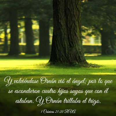 Picture 03 - 1 Crónicas 21:20 RVA - Y volviéndose Ornán vió el ángel; por lo que - Bible Verse Picture